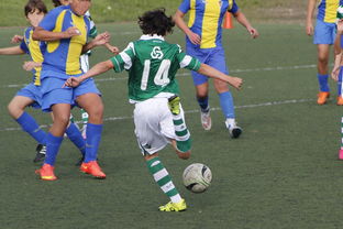 开云下载-世界网球队碾压法国网球队，穆雷绝境逆转