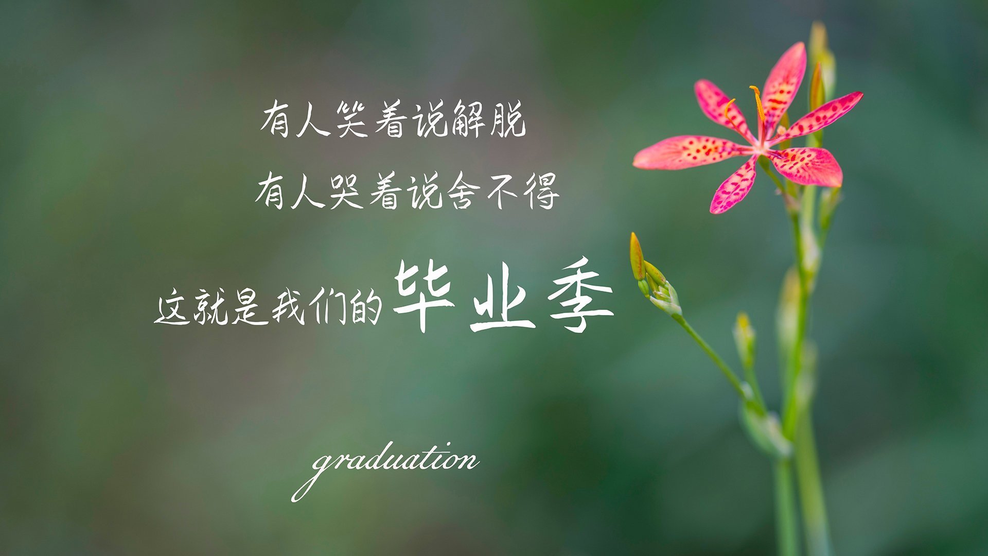 委内瑞拉何以粉碎曼联？C罗关键先生背后的残酷隐喻